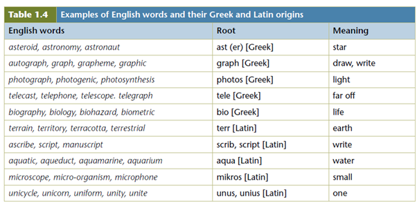 Article Etymological Knowledge